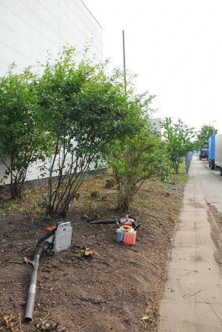 Sehnde Gartenbau Gartenarbeiten Gartenpflege Hannover Aussenanlagen