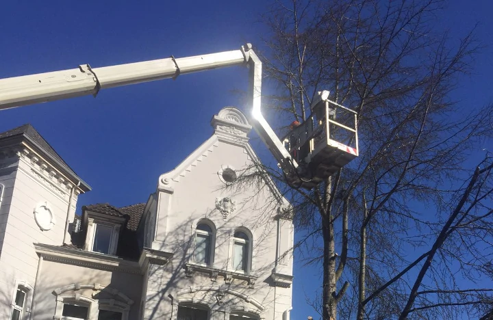 Gartenarbeiten Hannover Sehnde Baumschnitt Heckenschnitt Gartenpflege