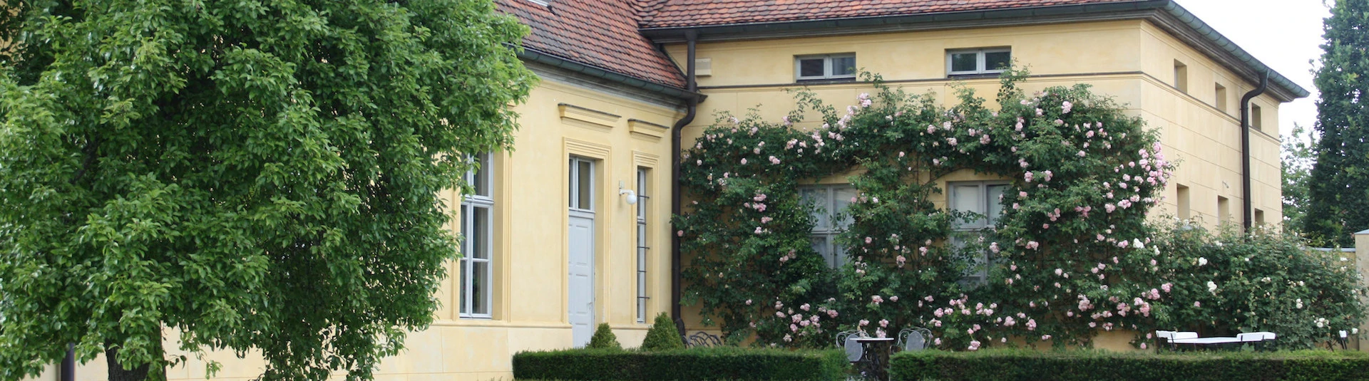 Schädlinge und Schädlingsbekämpfung in und um Hannover und Sehnde mit Prävention Garten Zuhause Haus Milben Läuse